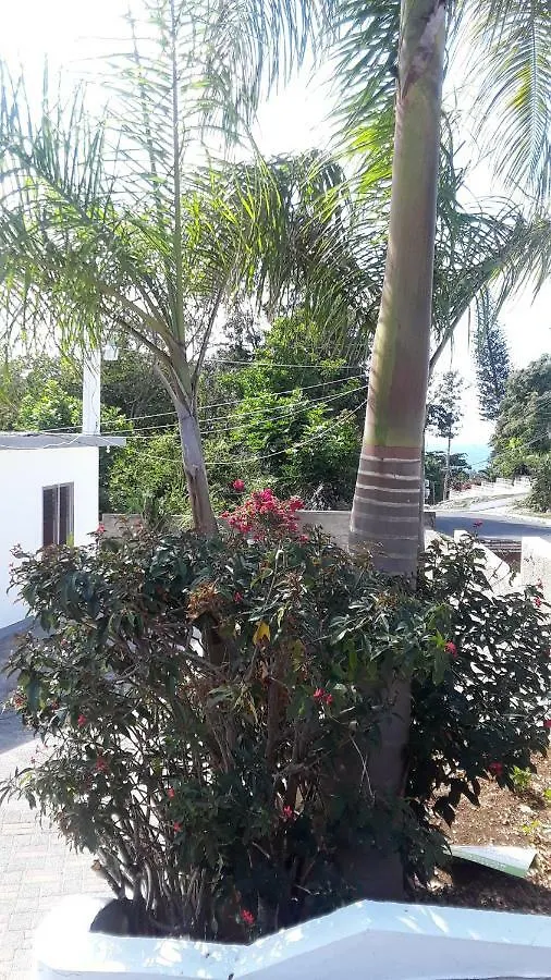 Bed & Breakfast Your Private Getaway On The Hill Montego Bay