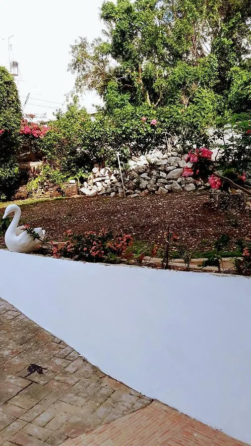 Your Private Getaway On The Hill Montego Bay